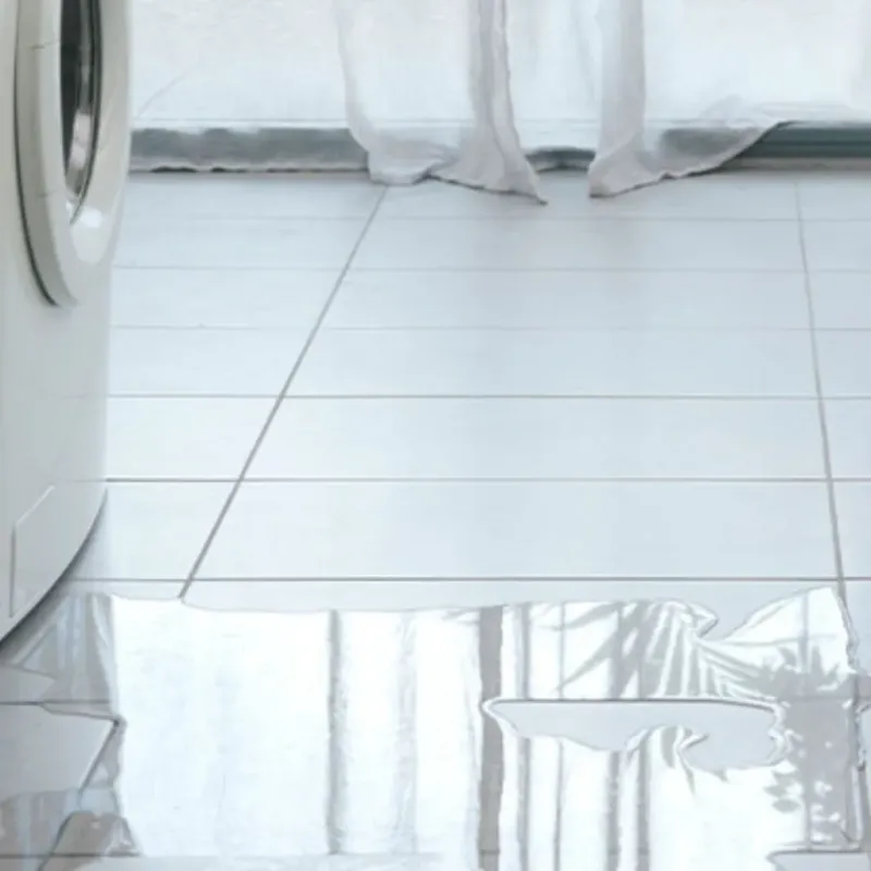 Appliance Leak Cleanup in Grand Mound, WA