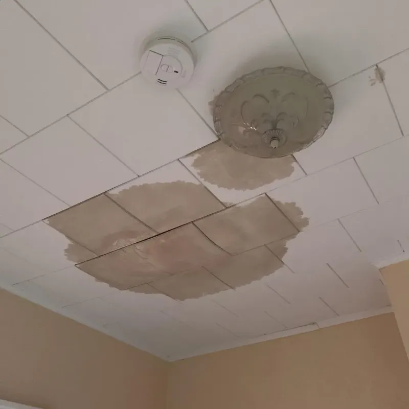 Ceiling Water Damage Repair in Grand Mound, WA